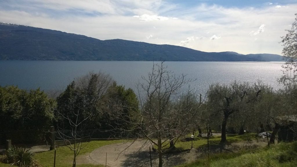 In vendita un terreno di circa 1.700 mq piantumato ad ulivi produttivi con la possibilità di edificare di un’abitazione di circa 110 mq disposta su un unico livello