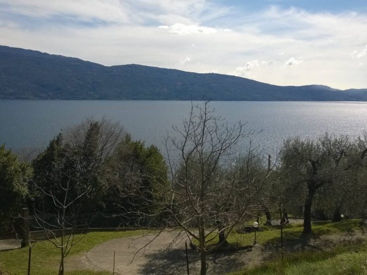 In vendita un terreno di circa 1.700 mq piantumato ad ulivi produttivi con la possibilità di edificare di un’abitazione di circa 110 mq disposta su un unico livello