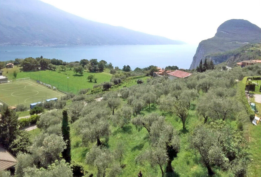 Bellissimo terreno edificabile completamente sviluppato con splendida vista sul lago in vendita nel Parco Alto Garda a Tremosine tra Arias e Pieve sul Lago di Garda