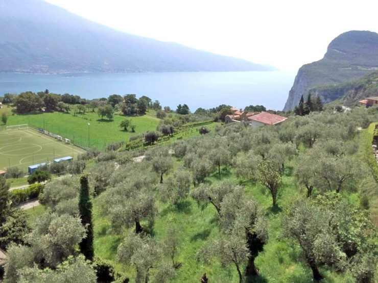 Bellissimo terreno edificabile completamente sviluppato con splendida vista sul lago in vendita nel Parco Alto Garda a Tremosine tra Arias e Pieve sul Lago di Garda