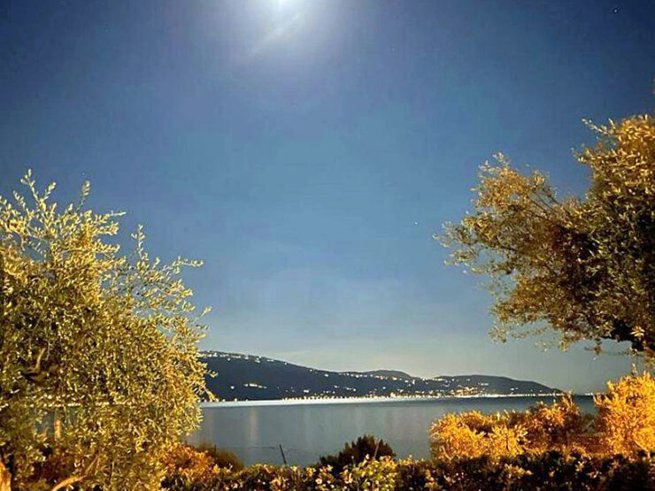 Elegante, grande villa con arredi sofisticati, garage, giardino con ulivi e vista mozzafiato sul Lago di Garda in vendita a San Giacomo in Gargnano