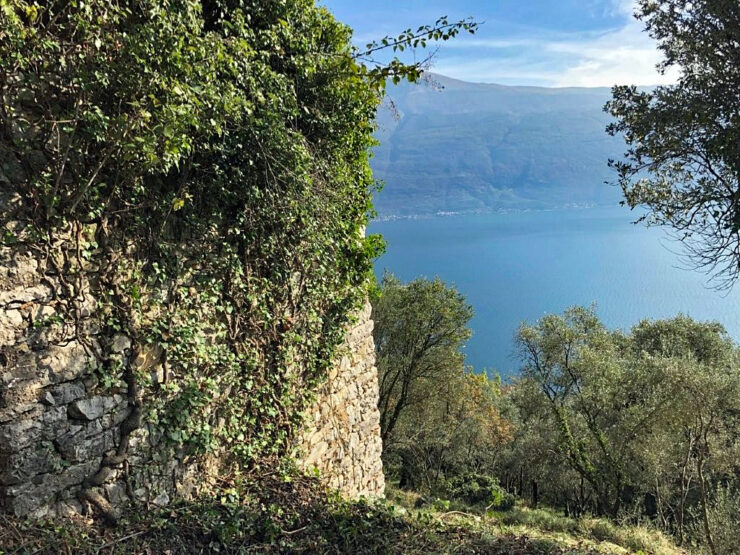 Vendesi grande proprietà in posizione fantastica con rustico in pietra da ristrutturare sulle colline a circa 200 metri sopra il Lago di Garda, non lontano da Piovere a Tignale